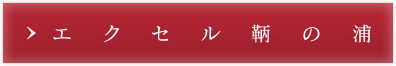 エクセル鞆の浦